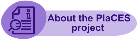 about the project